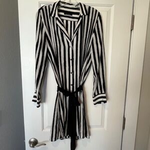 Equipment + Kate Moss Silk Shirt Dress Belted Long Sleeve Size SP Quiet Luxury